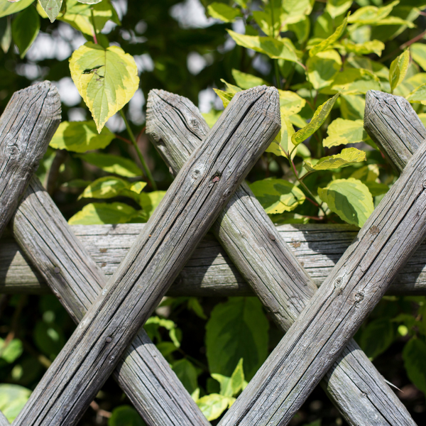 FencingContractor2